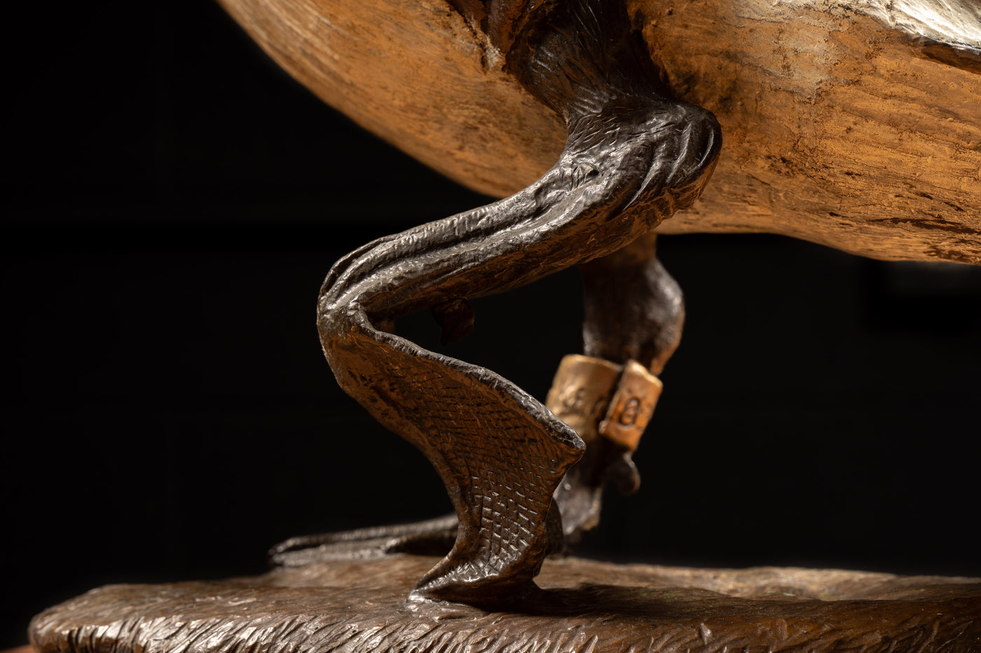 "Nature's Delight" Solid Bronze Hoker Canada Goose Statue