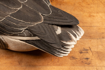 Vintage Frank Hoppe Greater White-Fronted Wood Goose Drake Decoy