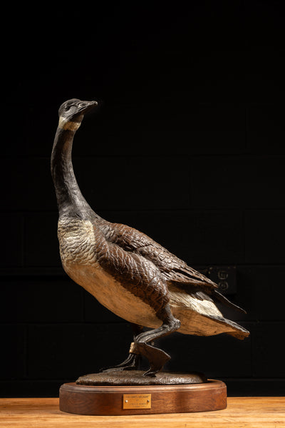 "Nature's Delight" Solid Bronze Hoker Canada Goose Statue
