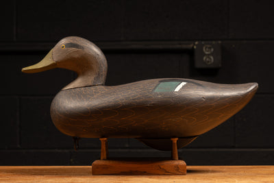 Vintage Hand-Painted Bob Jobes Black Duck Hen Decoy