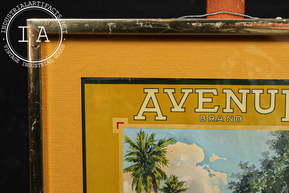 Antique Avenue Brand Citrus Framed Fruit Crate Label