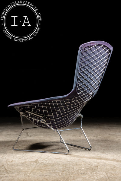 1970s Bird Chair by Harry Bertoia for Knoll
