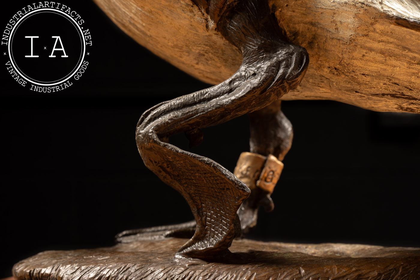 Bronze Canada Goose Sculpture “Nature’s Delight” by James E. Hoker