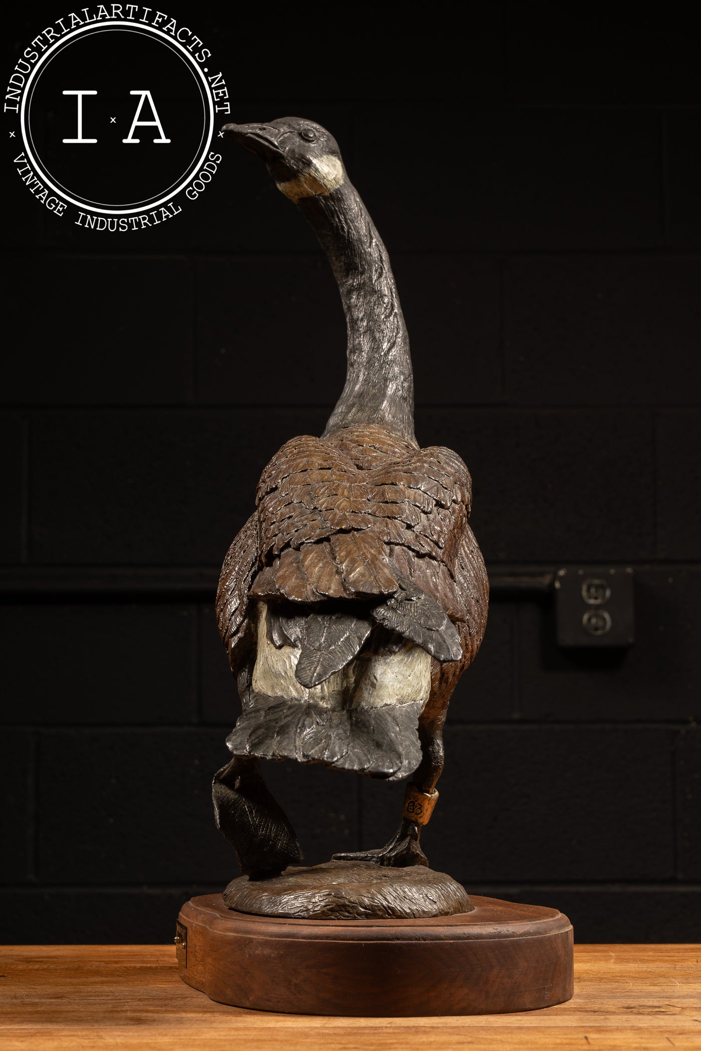 Bronze Canada Goose Sculpture “Nature’s Delight” by James E. Hoker