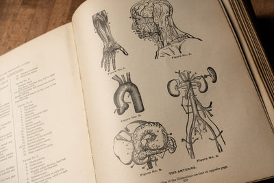 1901 Edition of Medicology, or Home Encyclopedia of Health