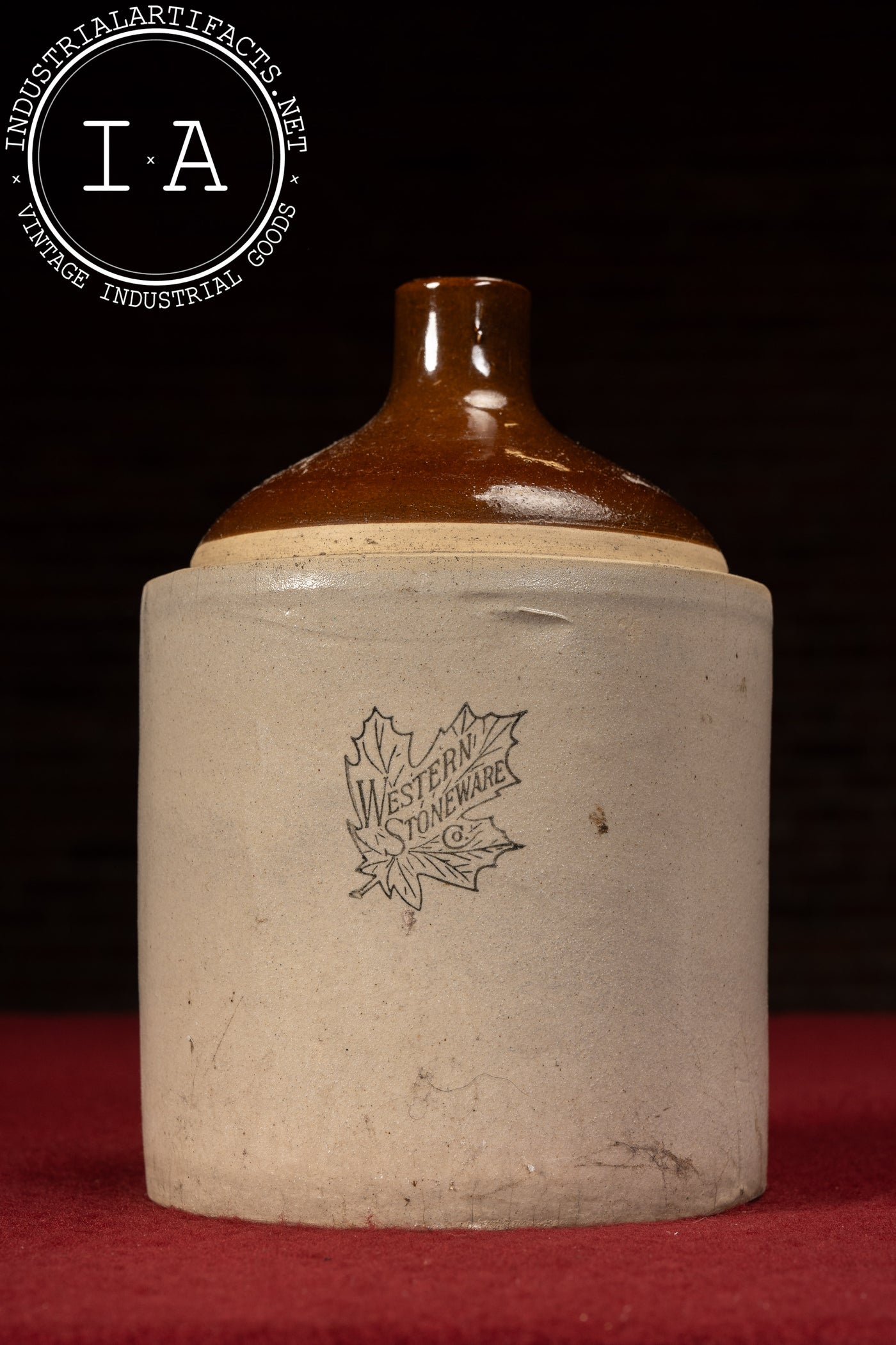 Early 20th Century Western Stoneware 1 Gallon Maple Leaf Jug