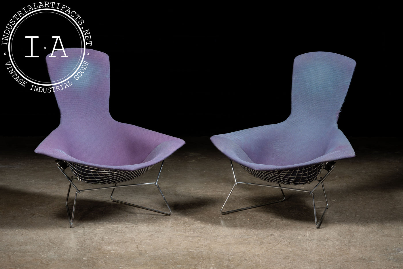1970s Bird Chair by Herry Bertoia Bird for Knoll