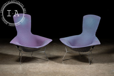 1970s Bird Chair by Herry Bertoia Bird for Knoll