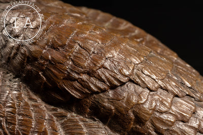 Bronze Canada Goose Sculpture “Nature’s Delight” by James E. Hoker