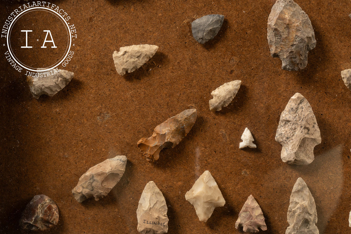 Framed Collection of Arrowheads