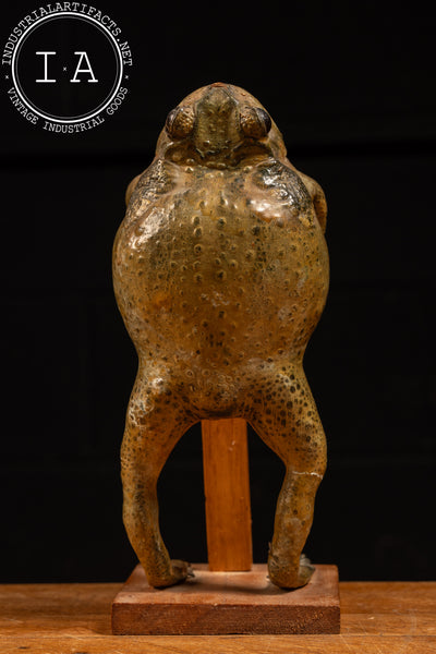 Vintage Mexican Taxidermy Frog Folk Art Statue