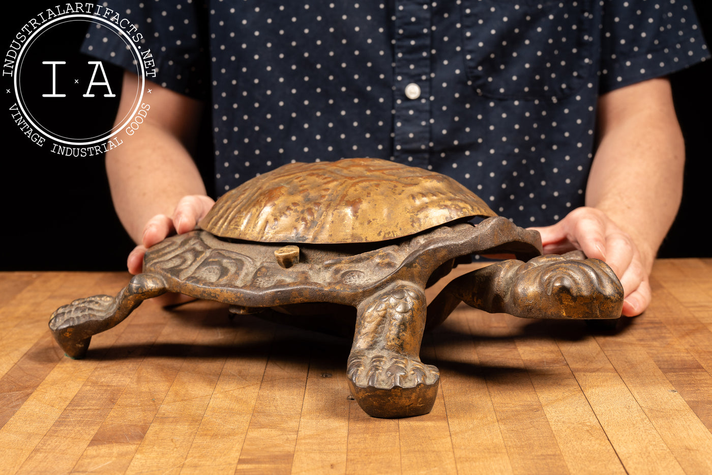 Early 20th Century Bronze Turtle Cuspidor