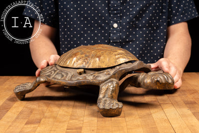 Early 20th Century Bronze Turtle Cuspidor