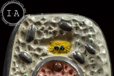 The Cell | Vintage Turtox Scientific Model by General Biological Supply