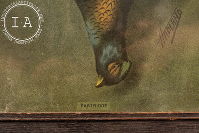 Antique “Partridge” Still Life Lithograph by Hadland