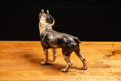 Early 20th Century Cast Iron Figural Dog Doorstop - Boston Terrier