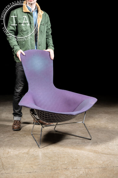 1970s Bird Chair by Harry Bertoia for Knoll
