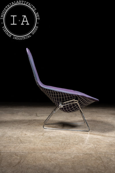 1970s Bird Chair by Herry Bertoia Bird for Knoll