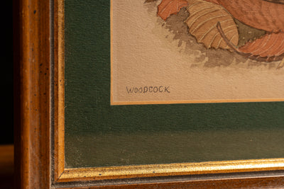 Vintage Framed Woodcock Print