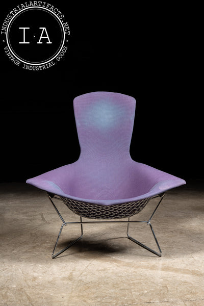 1970s Bird Chair by Herry Bertoia Bird for Knoll