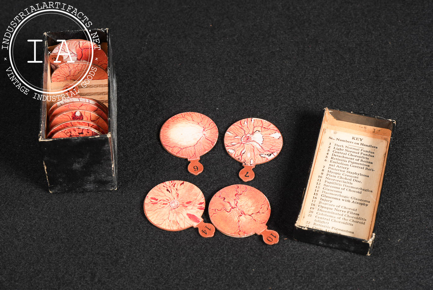 Early Fischer Schematic Eye Apparatus in Box by Riggs Optical