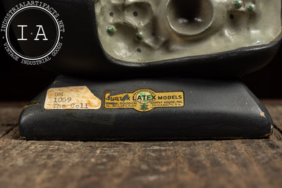 The Cell | Vintage Turtox Scientific Model by General Biological Supply
