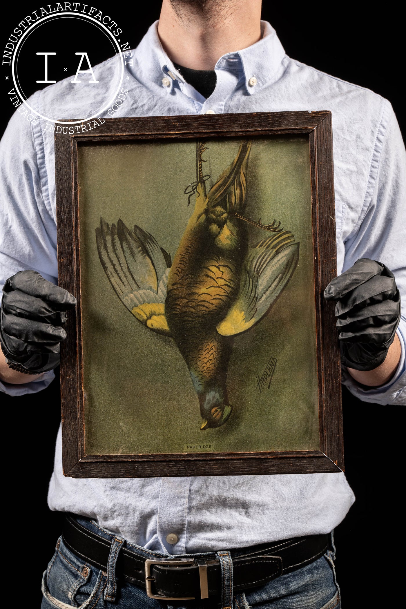 Antique “Partridge” Still Life Lithograph by Hadland