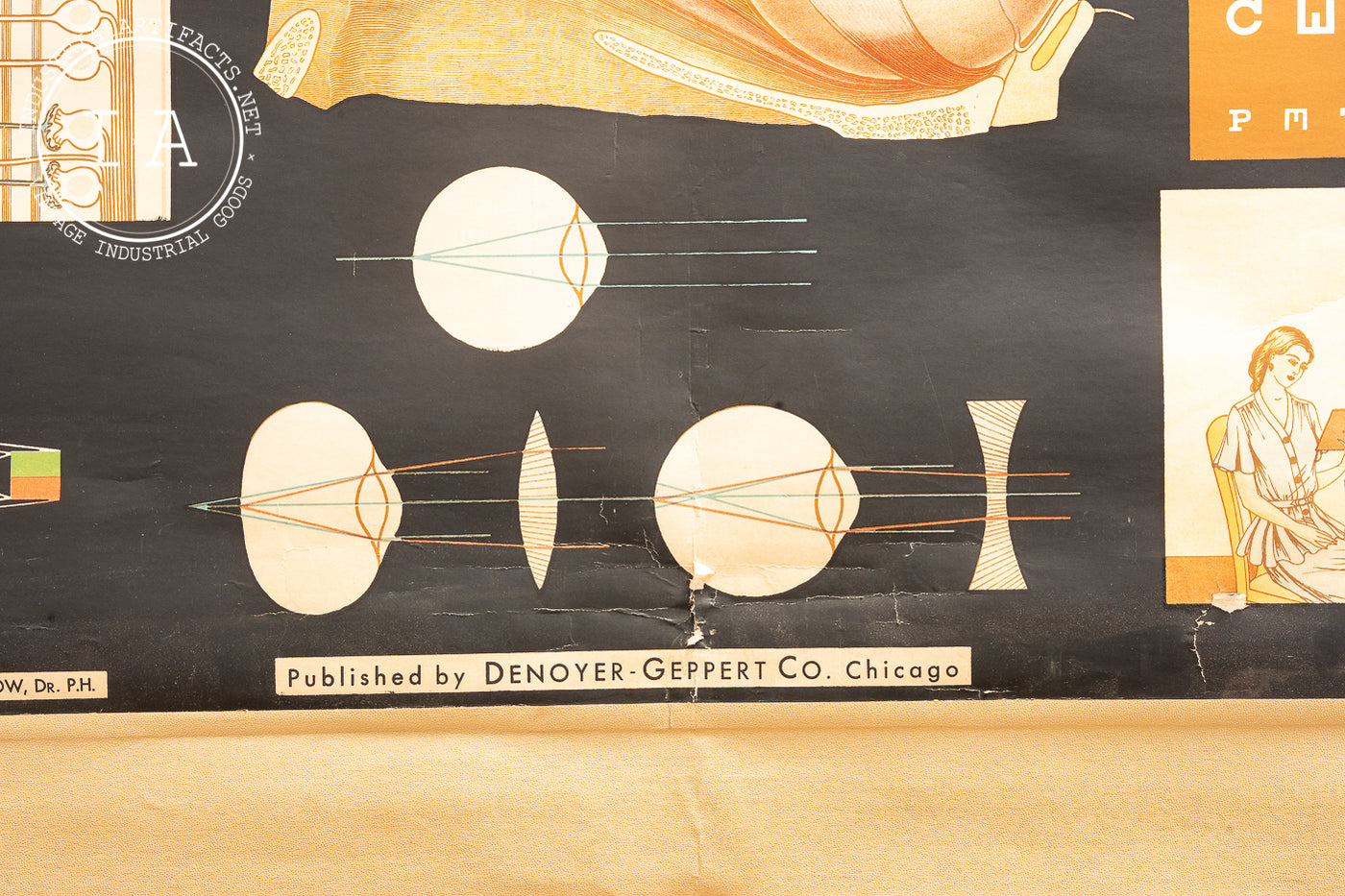1959 Winslow Heath And Hygiene Series - W11: The Eye