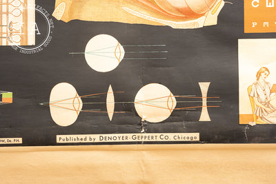 1959 Winslow Heath And Hygiene Series - W11: The Eye