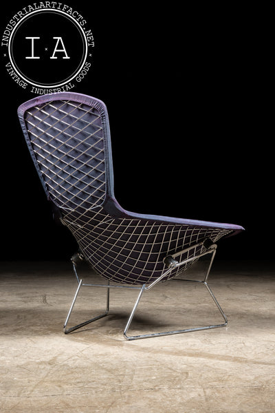 1970s Bird Chair by Harry Bertoia for Knoll