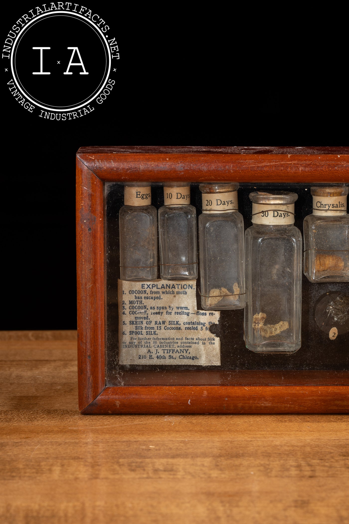 Early 20th Century Silkworm Industrial Nature Cabinet