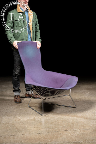 1970s Bird Chair by Herry Bertoia Bird for Knoll