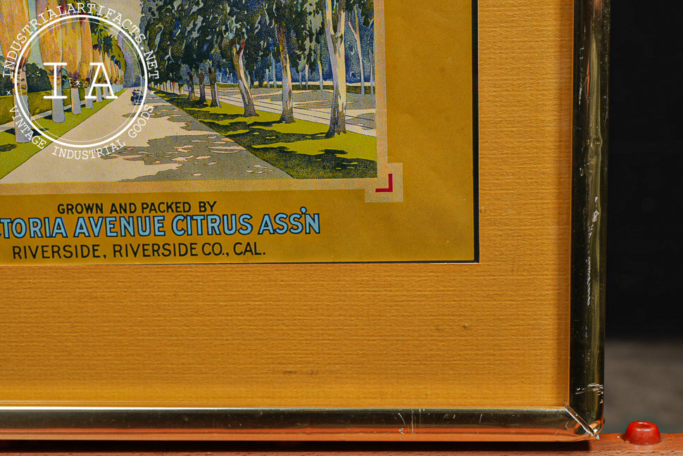 Antique Avenue Brand Citrus Framed Fruit Crate Label
