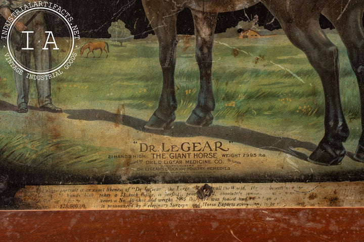dr le gear Framed Early 20th Century Dr. LeGear Tin Litho Advertising Sign –  Industrial Artifacts