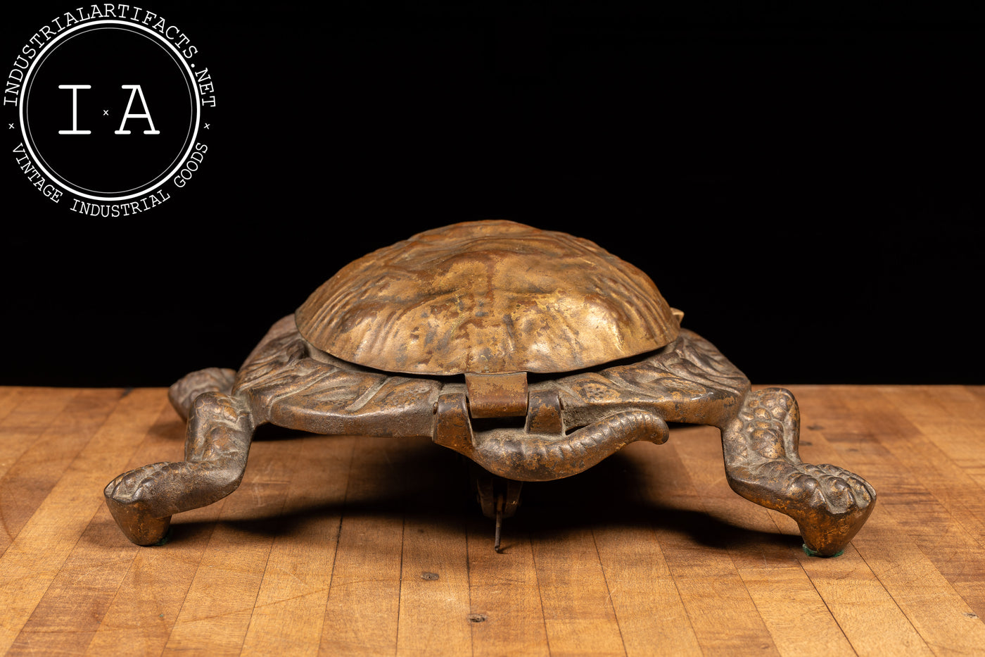 Early 20th Century Bronze Turtle Cuspidor