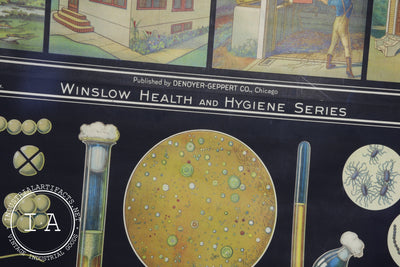 Early 1900s Biological Diagram Pulldown Screen