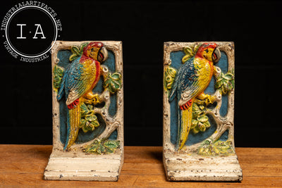 Pair of Antique High-Relief Painted Parrot Bookends