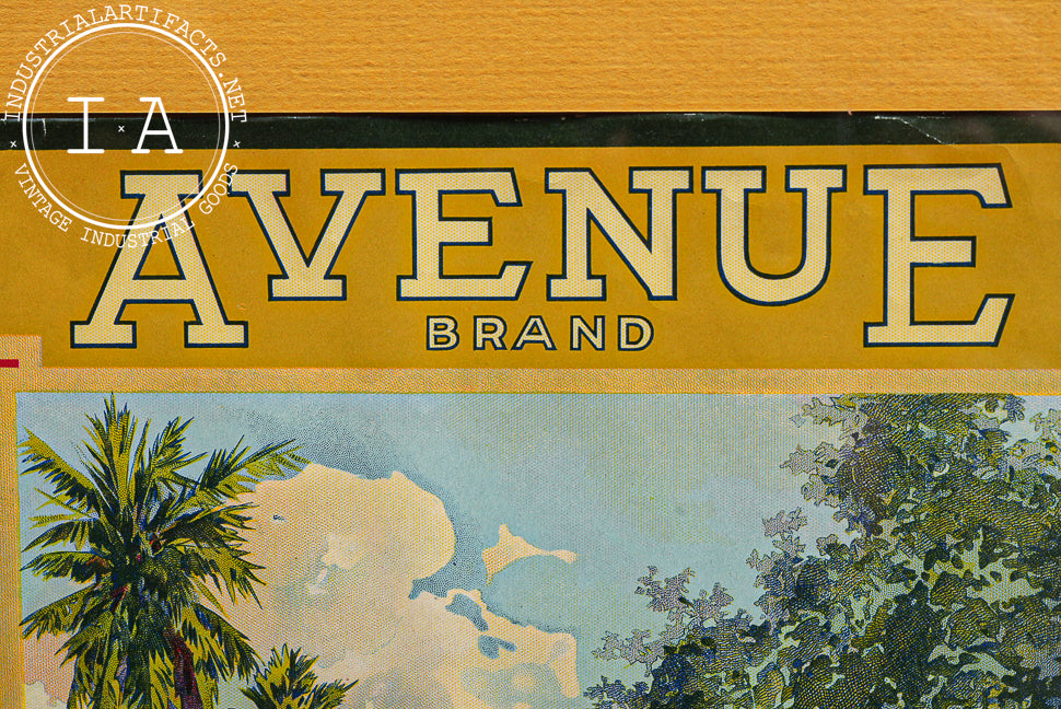 Antique Avenue Brand Citrus Framed Fruit Crate Label