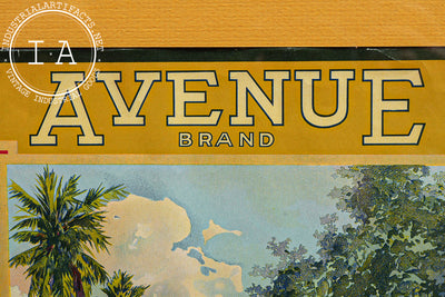 Antique Avenue Brand Citrus Framed Fruit Crate Label