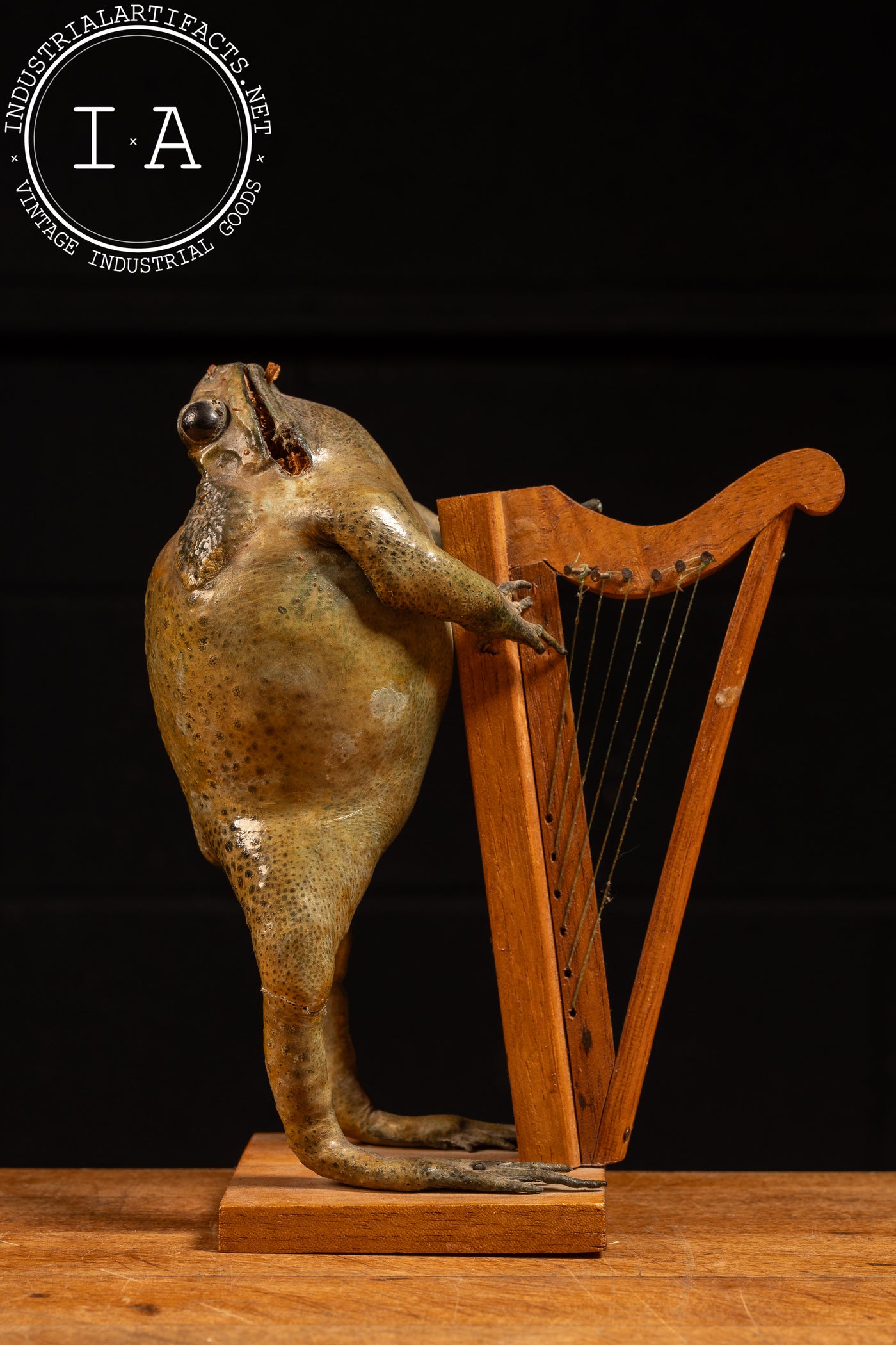 Vintage Mexican Taxidermy Frog Folk Art Statue