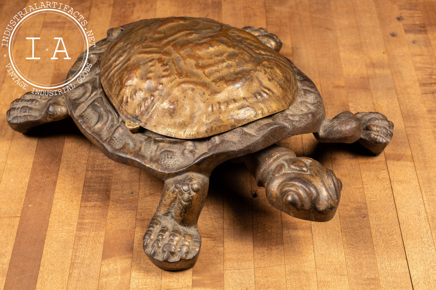 Early 20th Century Bronze Turtle Cuspidor