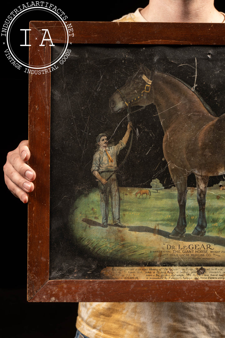 dr le gear Framed Early 20th Century Dr. LeGear Tin Litho Advertising Sign –  Industrial Artifacts