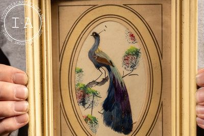 Vintage Framed Peacock Feather Art