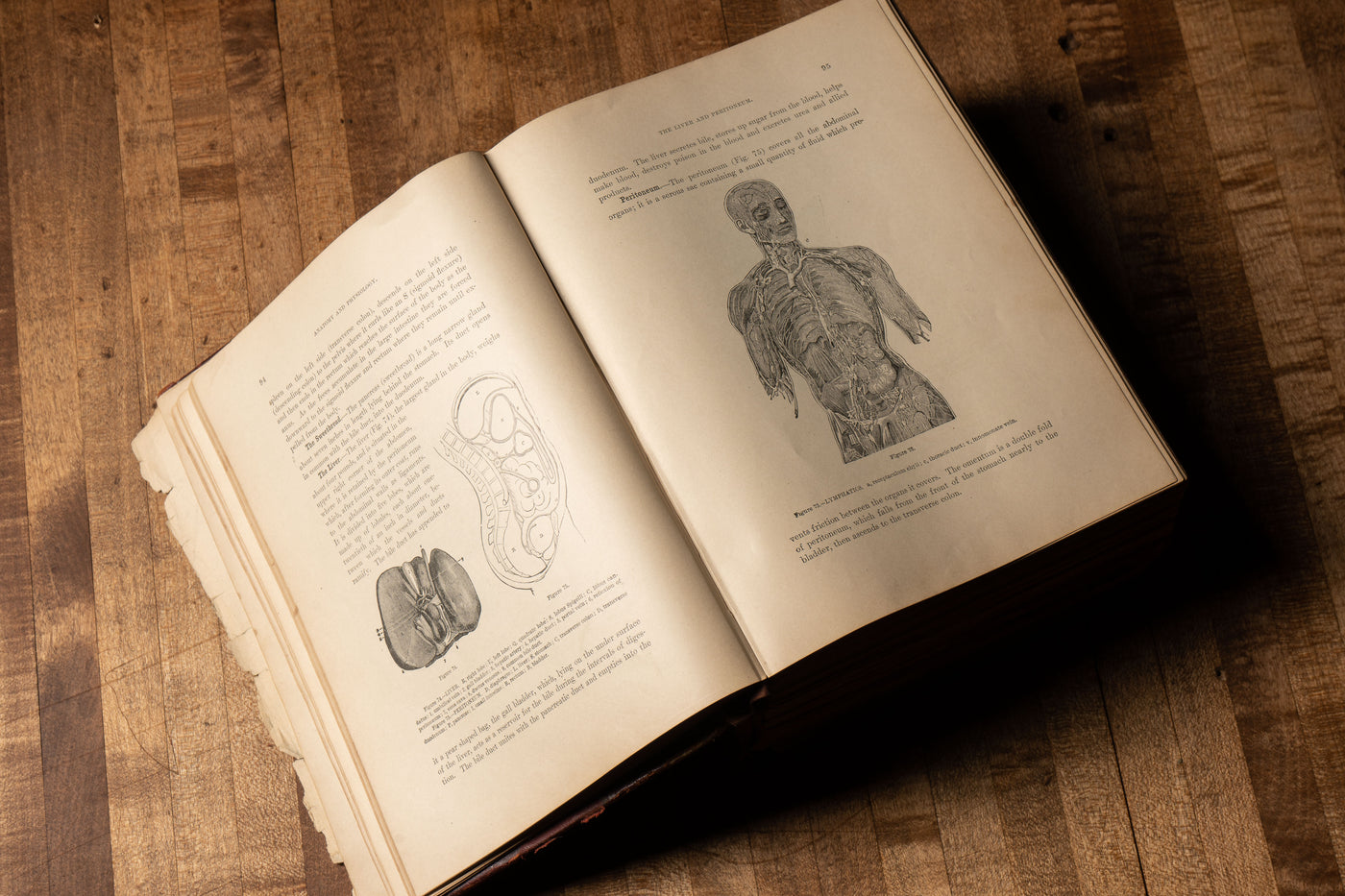 1901 Edition of Medicology, or Home Encyclopedia of Health