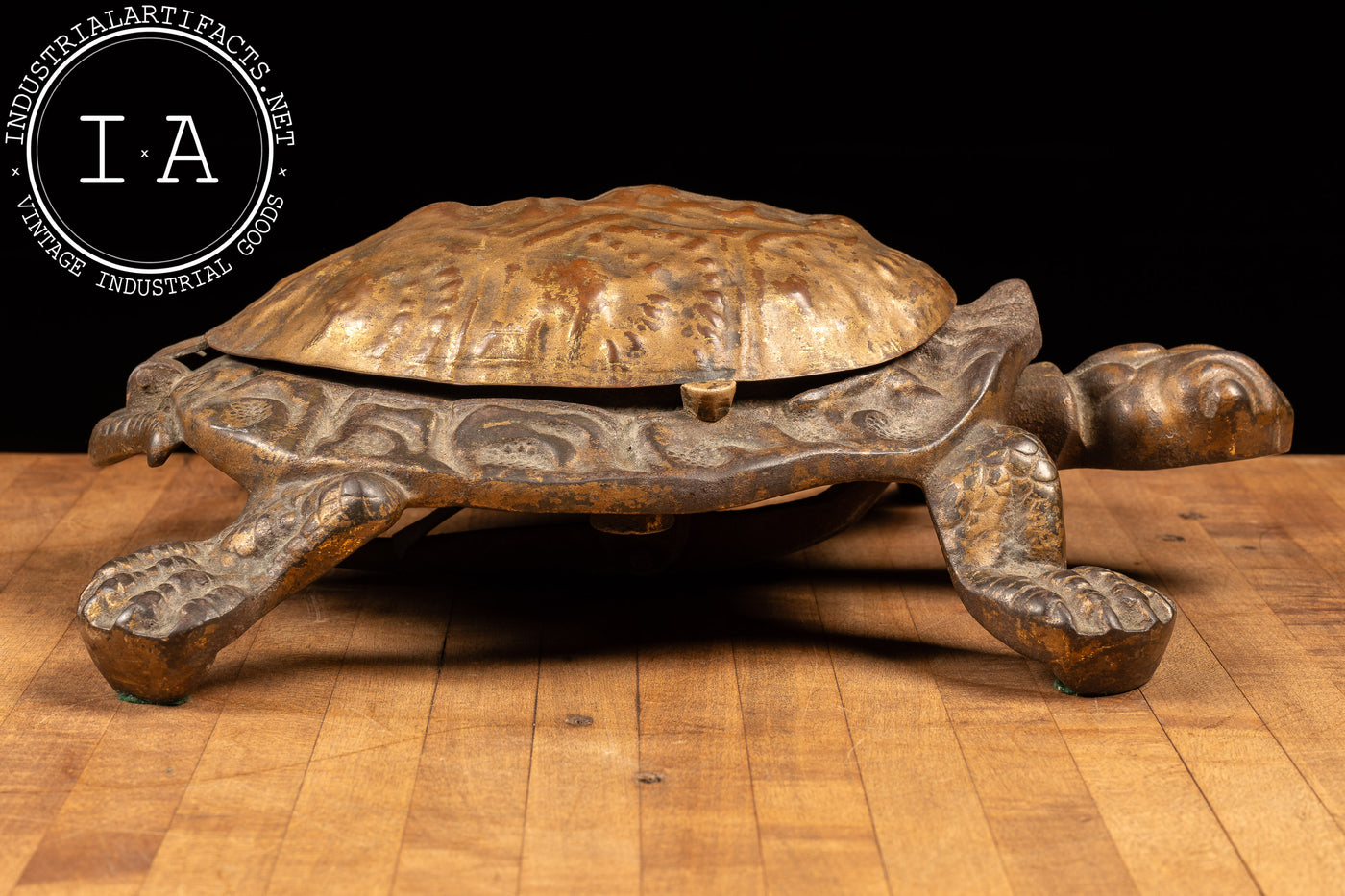 Early 20th Century Bronze Turtle Cuspidor