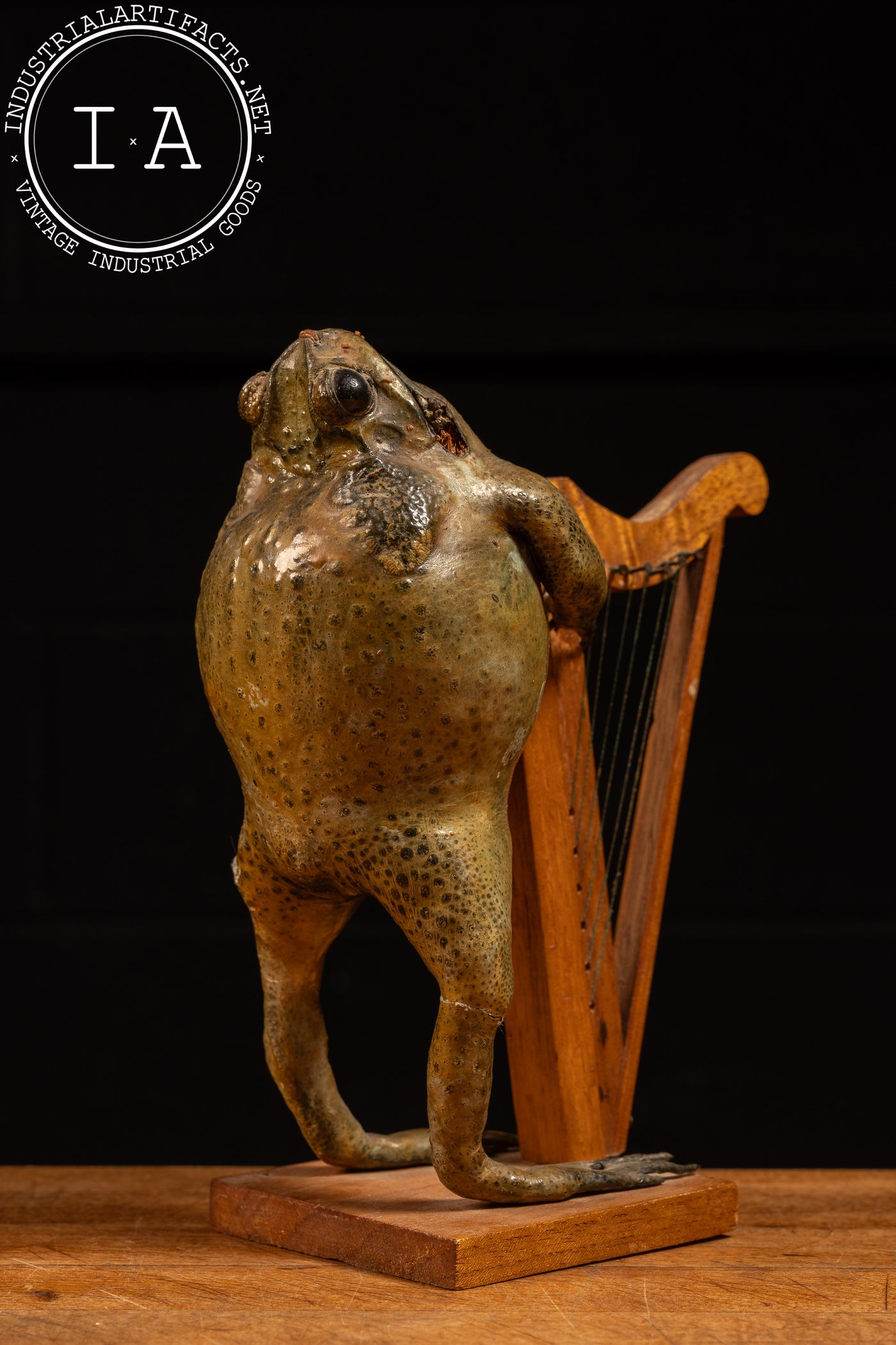 Vintage Mexican Taxidermy Frog Folk Art Statue