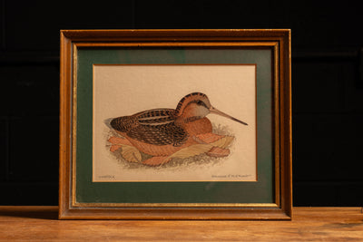 Vintage Framed Woodcock Print