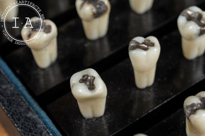 Vintage Dentoform Tooth Case