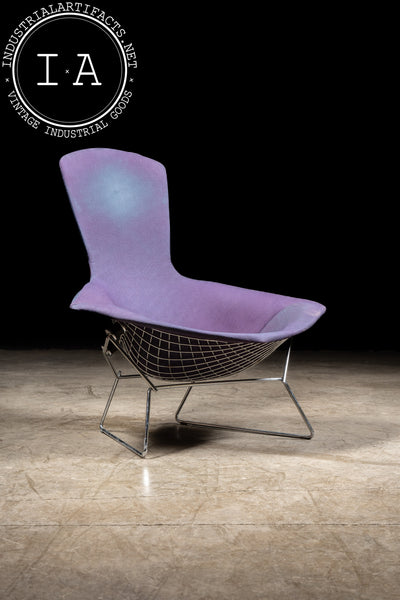 1970s Bird Chair by Harry Bertoia for Knoll