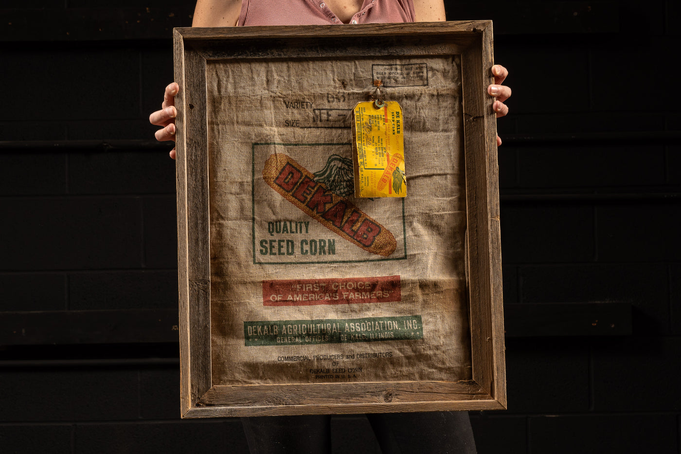 Vintage Framed Dekalb Crop Sack